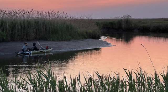 Photo of 2229 Elliott Island Rd, Vienna, MD 21869