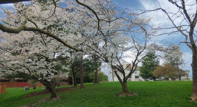 Photo of 46909 Trumpet Cir, Sterling, VA 20164