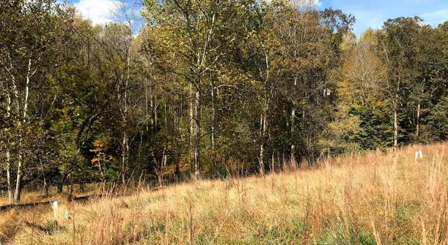 Photo of 13223 Query Mill Rd, North Potomac, MD 20878