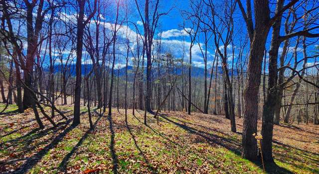 Photo of LOT 24 Old Mountain Run Trl, Purgitsville, WV 26852