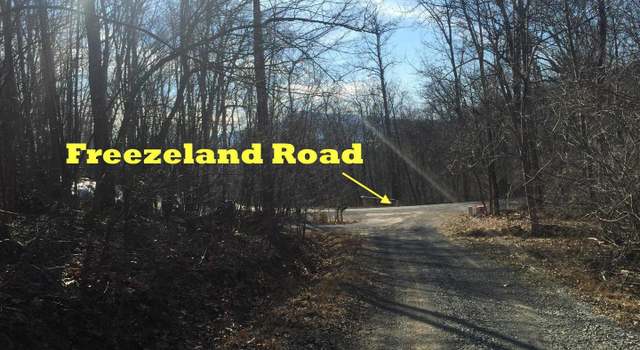 Photo of Freezeland Rd, Linden, VA 22642