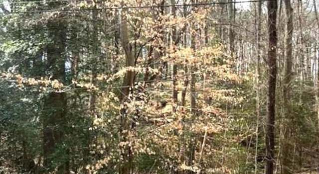 Photo of 48690 Whitaker Rd, Saint Inigoes, MD 20684