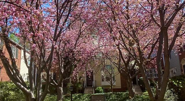 Photo of 4833 Willett Pkwy #78, Chevy Chase, MD 20815