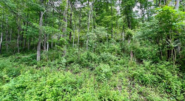 Photo of 292 Ridge Rd, Hopewell, PA 16650