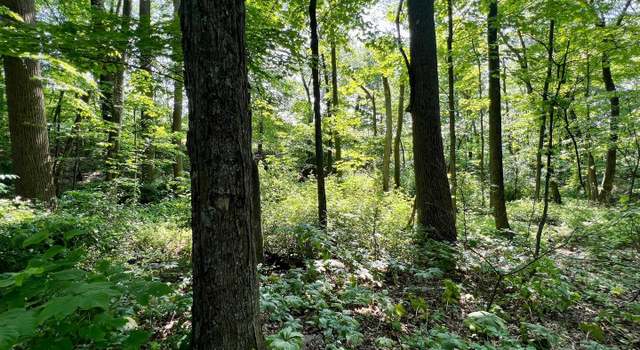 Photo of 442 Old Henry Path Rd, New Enterprise, PA 16664