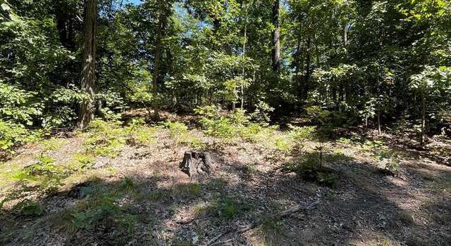 Photo of Silkwood Dr, Bunker Hill, WV 25413
