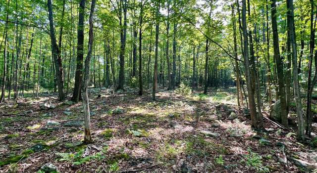 Photo of Lot 5 Flintstone Creek Rd, Clearville, PA 15535