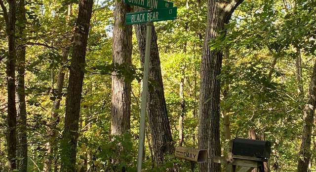 Photo of Black Bear, Bentonville, VA 22610