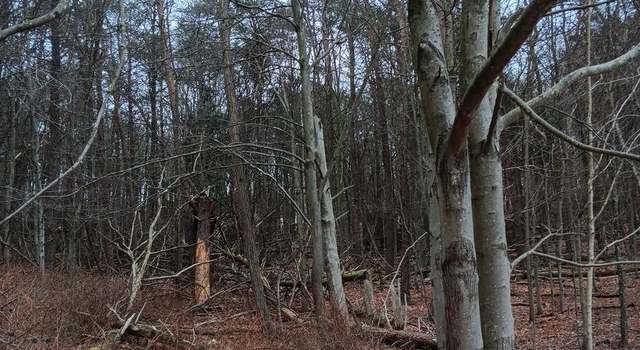 Photo of 0 Bunker Hill Rd, West Providence Township, PA 15537