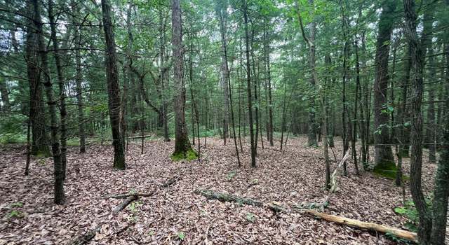 Photo of Lot 7 Robinsonville Rd, Clearville, PA 15535
