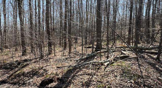 Photo of Wheeler Rd, South Sterling, PA 18445