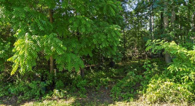 Photo of 0 Heritage Dr, Luray, VA 22835