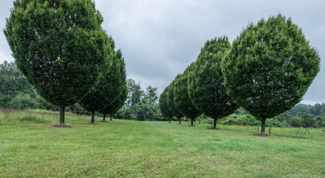 Photo of 19415 Silcott Ln, Purcellville, VA 20132