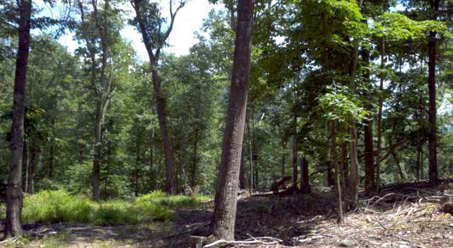 Photo of 0 Harrison Holw, Franklin, WV 26807