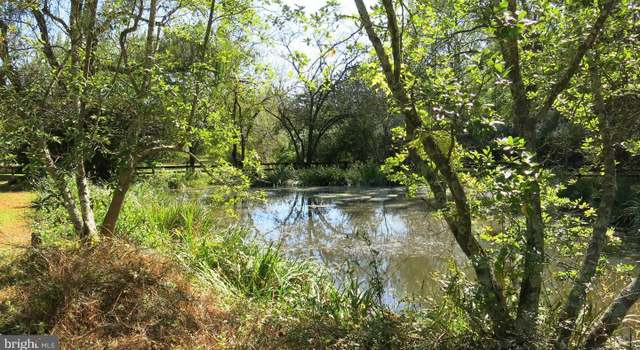 Photo of 40 Points Of View Ln, Flint Hill, VA 22627