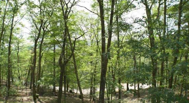 Photo of 48 Dog House Ln, Millmont, PA 17845