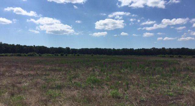 Photo of Lot 51 Lankford Hwy, New Church, VA 23415
