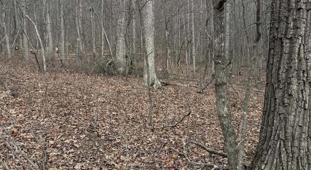 Photo of Lt 187 Mine Mountain Ln, Fort Valley, VA 22652
