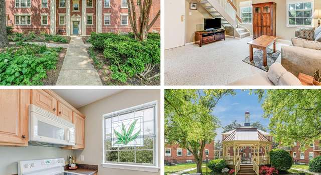 Photo of 517 Bashford Ln #5, Alexandria, VA 22314