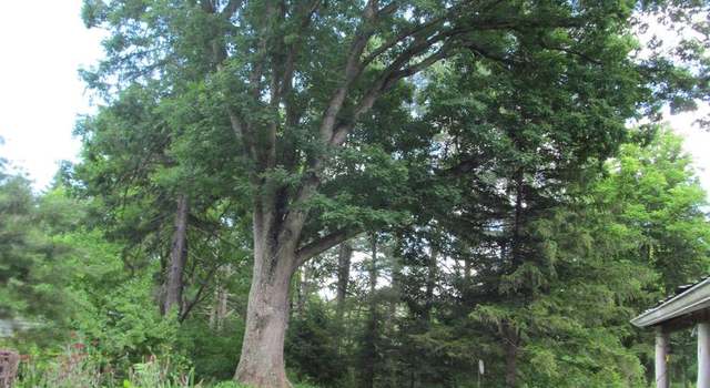 Photo of 75 Hartwood Dr, Augusta, WV 26704