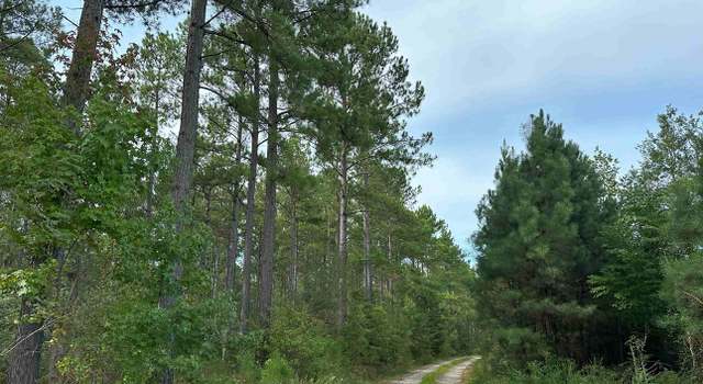 Photo of Hustle Road (tract: Jacks Fork), Hustle, VA 22476