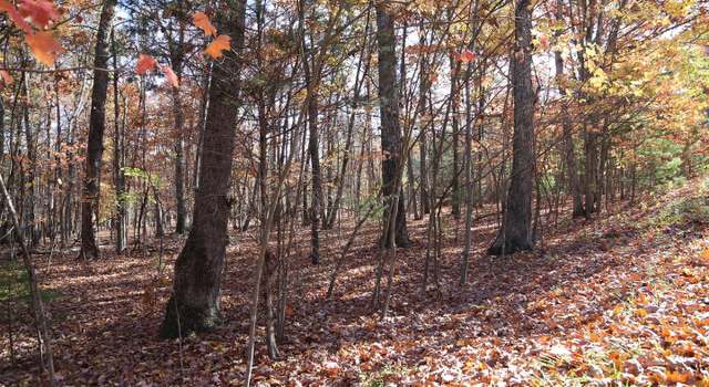 Photo of Warden Circle Rd Lot 10, Wardensville, WV 26851