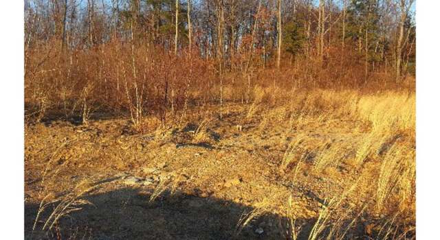 Photo of Lot 13 Elmwood, St Clair Boro, PA 17970
