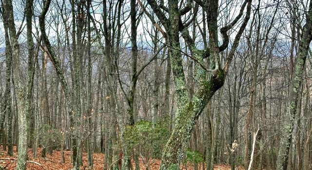Photo of Lot 32 Boonedock Dr, Upper Tract, WV 26866