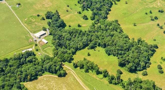 Photo of 1169 Zachary Taylor Rd, Flint Hill, VA 22627