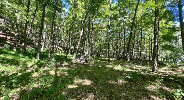 Photo of TR13 High Knob Rd, Old Fields, WV 26845