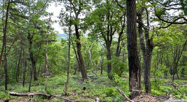 Photo of Lot 77 Mimosa Trl, Winchester, VA 22602