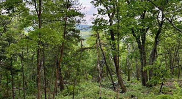 Photo of Lot 77 Mimosa Trl, Winchester, VA 22602