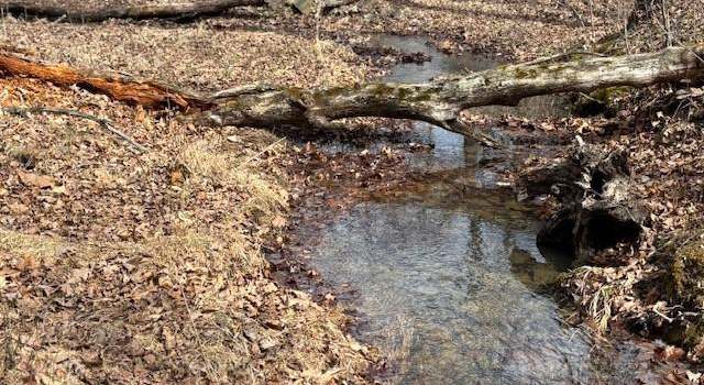 Photo of Oak Rdg, Springfield, WV 26763