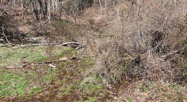 Photo of 0 Brandonville 66, Zion Grove, PA 17985