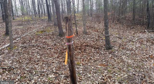 Photo of 1 Northwestern Pike, Gore, VA 22637