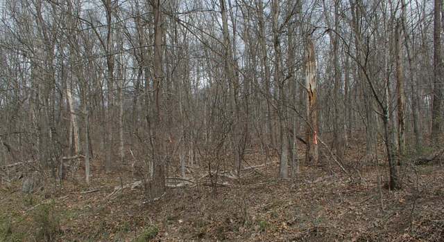 Photo of 1 Northwestern Pike, Gore, VA 22637
