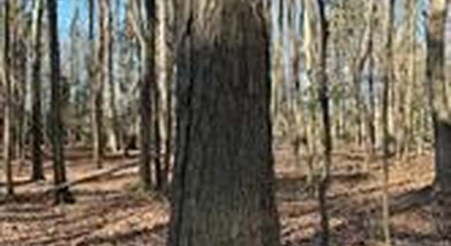 Photo of Wisteria Dr, Cambridge, MD 21613