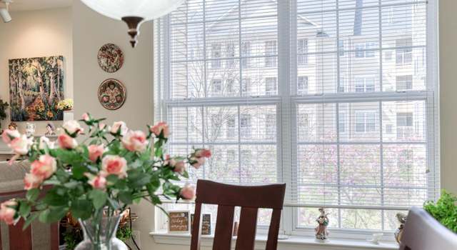 Photo of 400 Symphony Cir #351, Cockeysville, MD 21030
