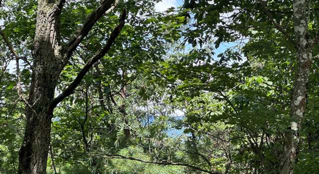 Photo of Lot 24 Mt Snow Ct, Basye, VA 22810