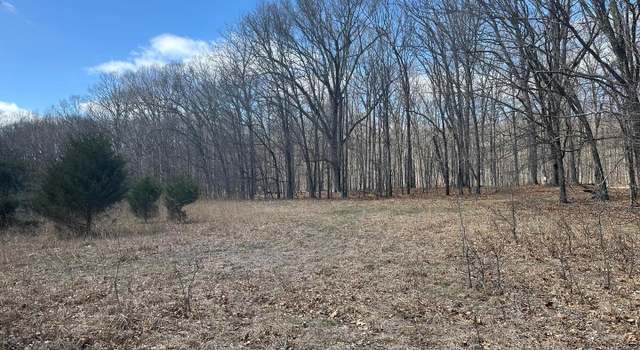 Photo of 29.72 AC Pauls Woods Rd, Delray, WV 26714