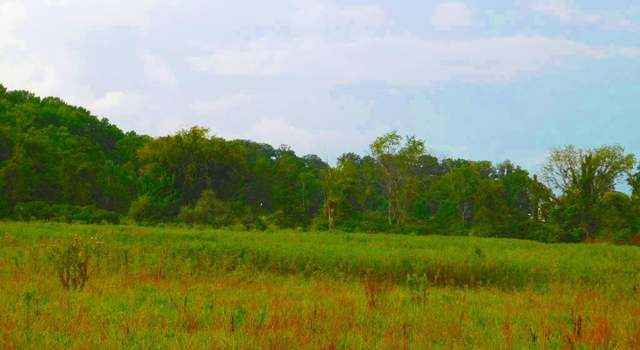 Photo of Garriland Dr, Catoctin, VA 20176