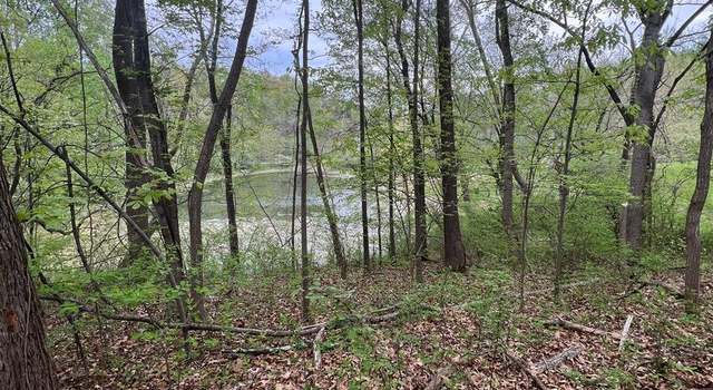 Photo of Memory, Linden, VA 22642