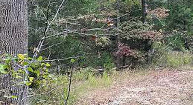 Photo of Lot 1, 3, 7 Gibbons Sub, Bryans Road, MD 20616