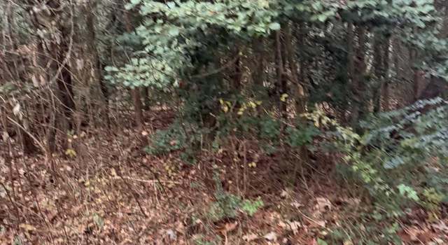 Photo of Mill Point Rd, Chaptico, MD 20621
