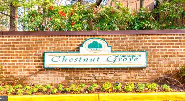 Photo of 11232 Chestnut Grove Sq #334, Reston, VA 20190