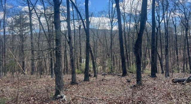 Photo of 20 Acres Off River Glen Rd, Bloomery, WV 26817