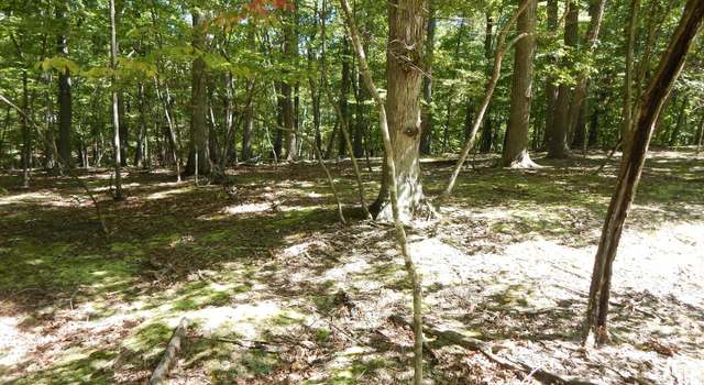 Photo of Sideling Mountain Trl, Great Cacapon, WV 25422