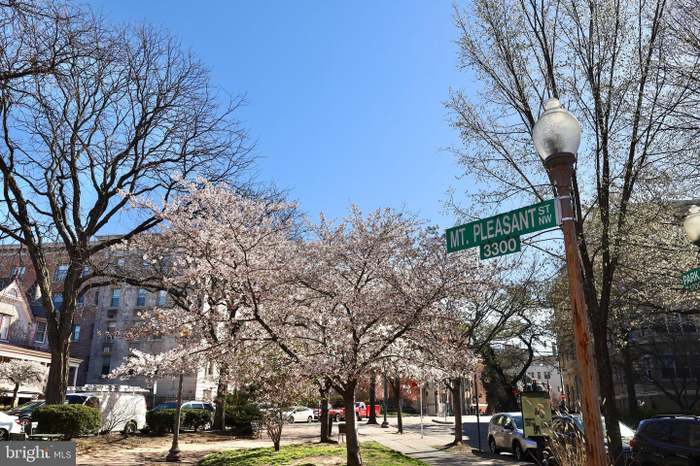 DC Cherry Blossom Festival 2025 Event Venue