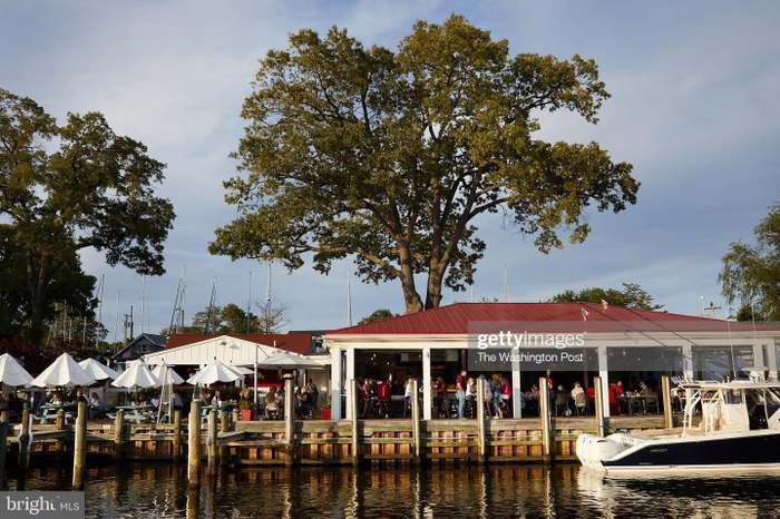 The point 2024 crab house