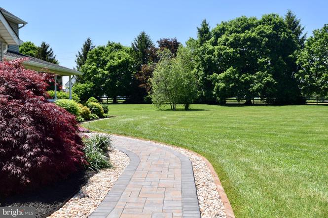 8+ Meadow Wood Park